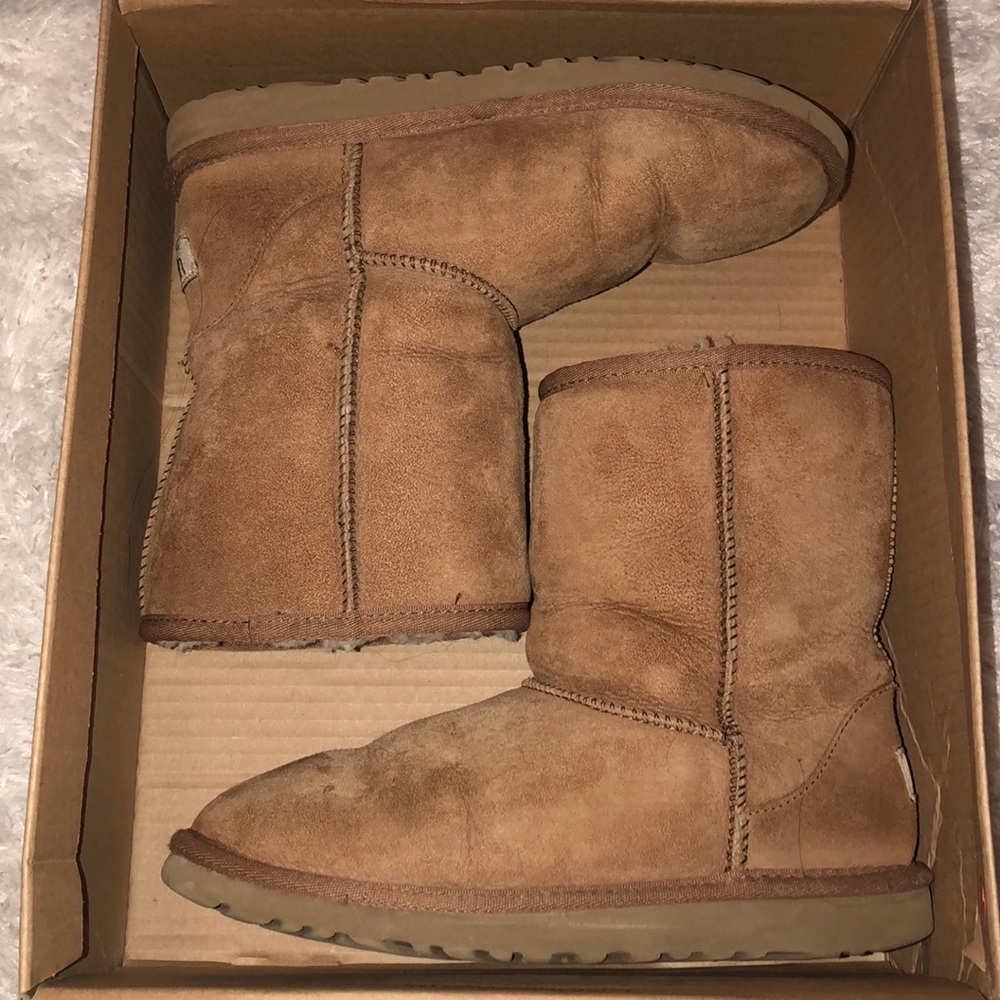 short chestnut uggs
